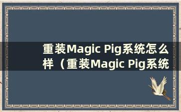 重装Magic Pig系统怎么样（重装Magic Pig系统后如何设置PE）